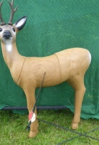 Field archery Oh Deer!