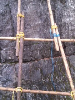 Pioneers built ladders.